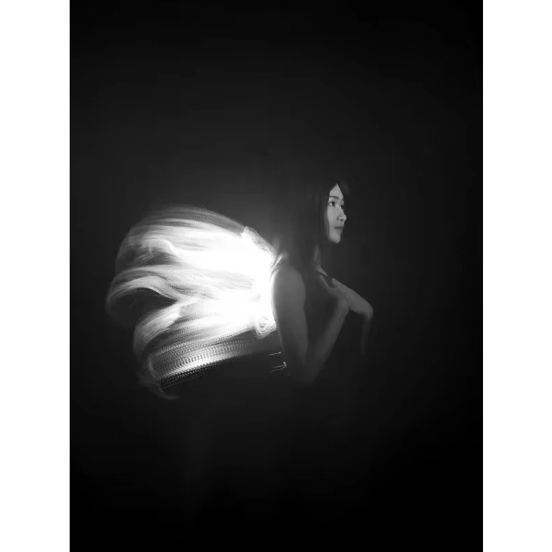 LLP light brush module light d - Photography Lighting Guide recension och pris