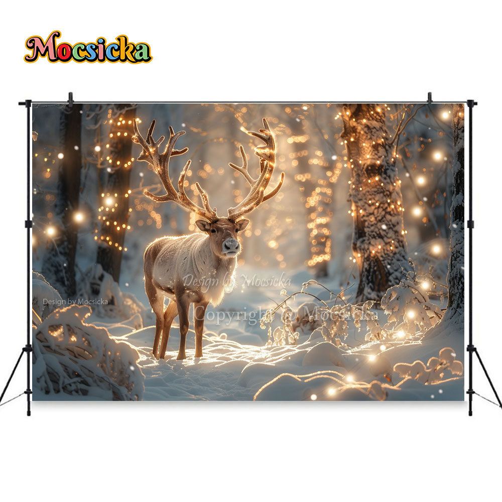 Winter Snow Scenes Photography - Photography Natural Lighting recension och pris