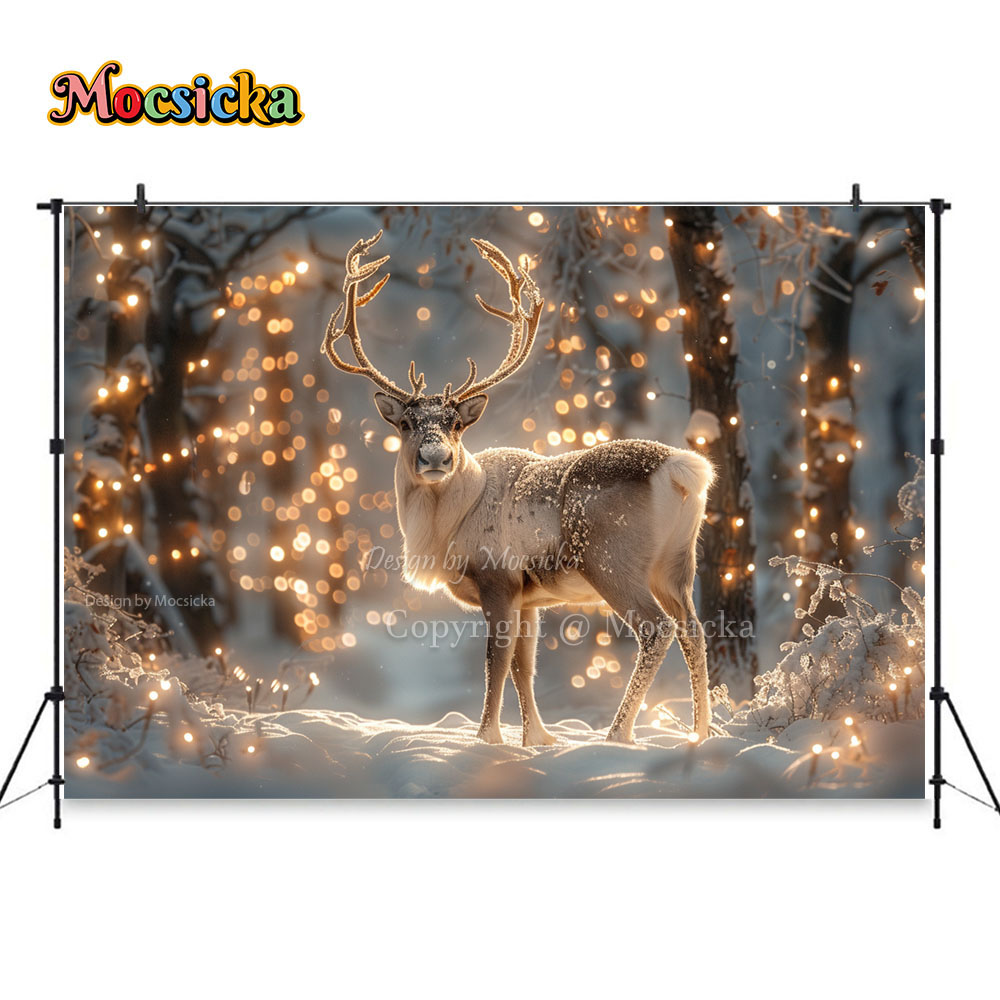 Winter Snow Scenes Photography - Photography Natural Lighting recension och pris