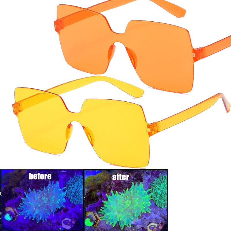 Coral Observation Glasses Cora - Photography Natural Lighting recension och pris