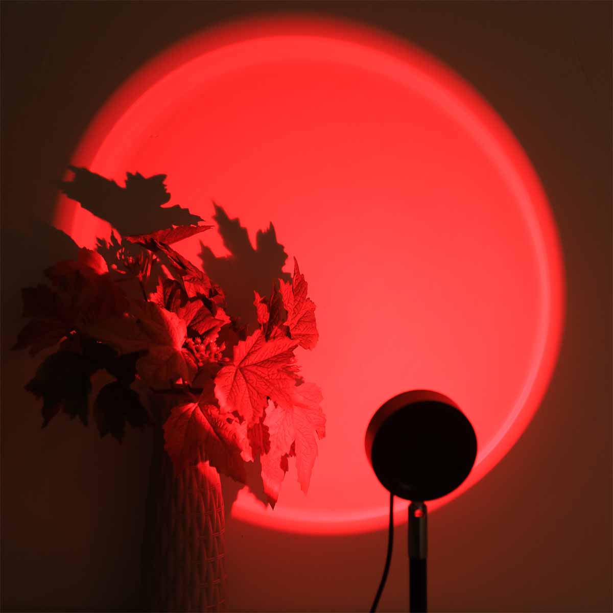 Sunset Projection Light Remote - Photography Lighting Wall recension och pris