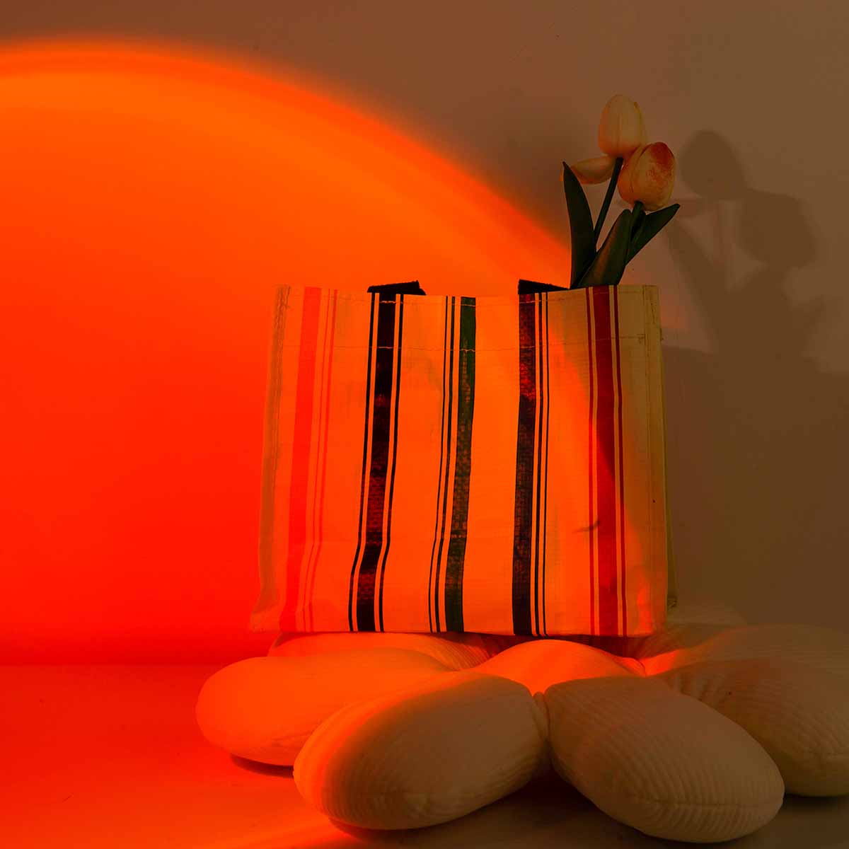 Sunset Projection Light Remote - Photography Lighting Wall recension och pris